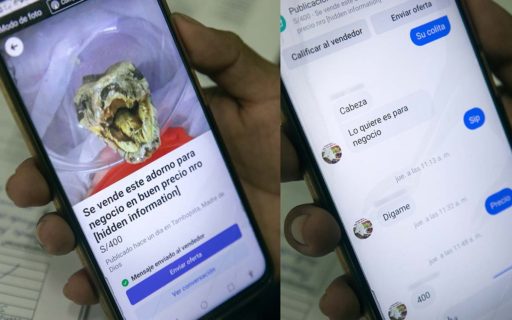 El tráfico ilícito de vida silvestre se traslada a Internet por la pandemia