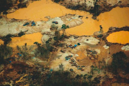 Infografía: La larga cadena del oro ilegal en Madre de Dios
