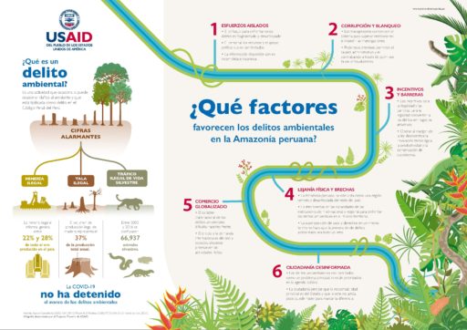 Infografía: Factores que favorecen la existencia de los delitos ambientales