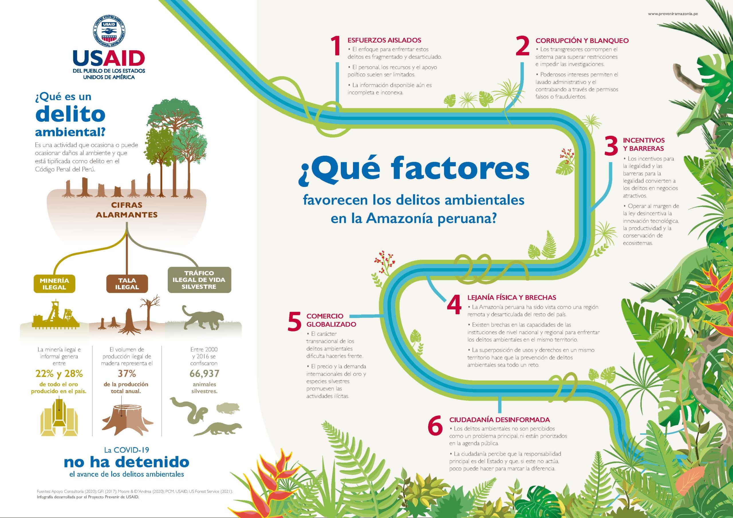 Infografía: Factores que favorecen la existencia de los delitos ambientales