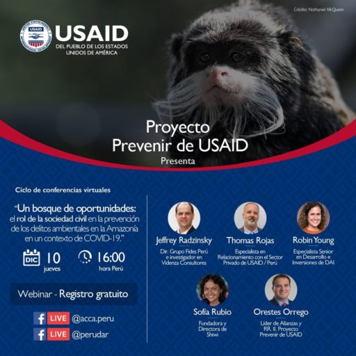 Desafíos para la Prevención y Combate de los Delitos Ambientales en la Amazonía del Perú