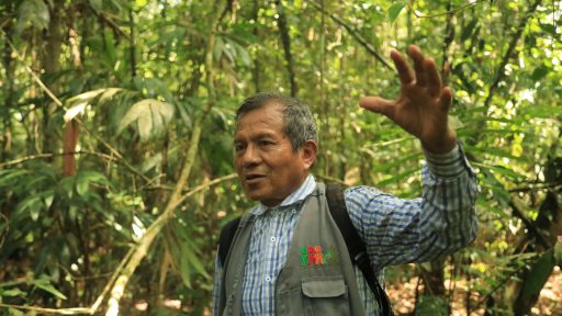 Félix Vera, vigía de la castaña amazónica y la biodiversidad en Madre de Dios