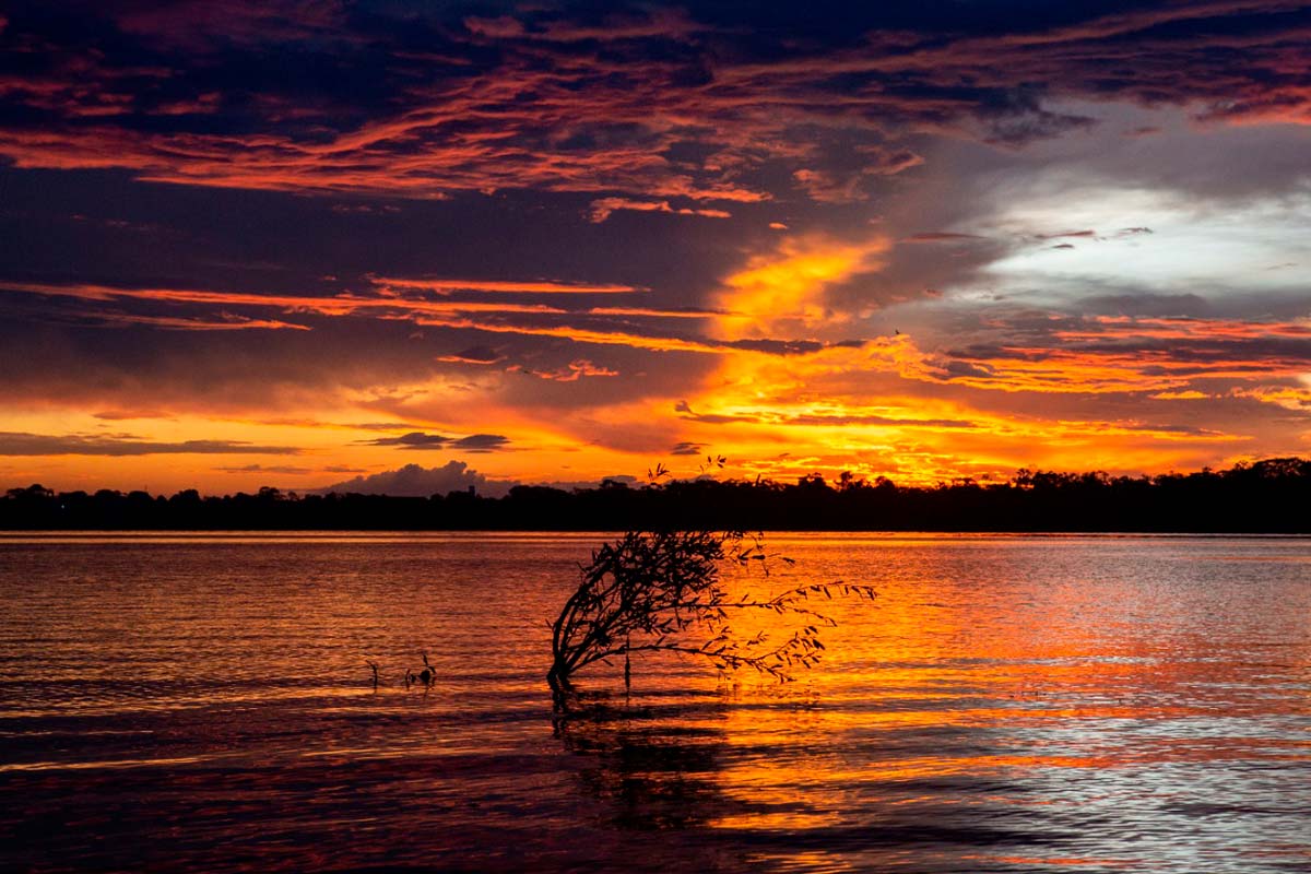 Fortalecen compromiso para enfrentar delitos ambientales en la Amazonía