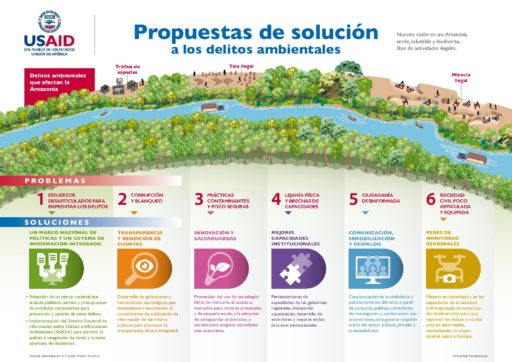 Infografía: Soluciones frente a los delitos ambientales en la Amazonía peruana