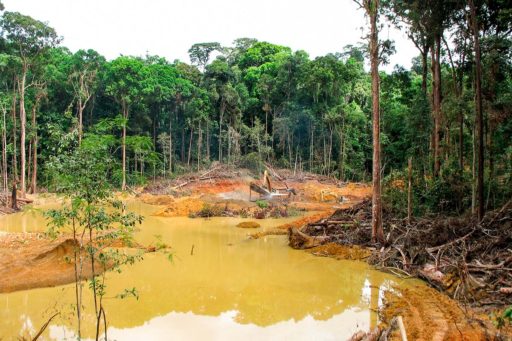 Siete recomendaciones para una minería sostenible en Madre de Dios