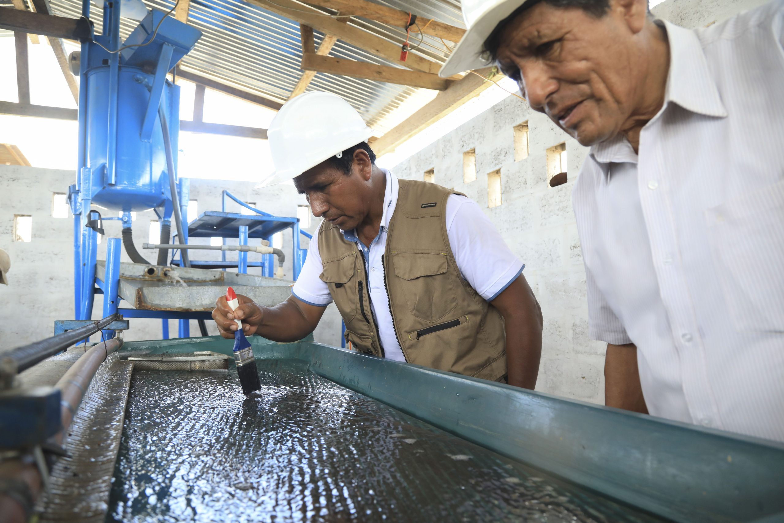 La ruta del oro limpio en Madre de Dios