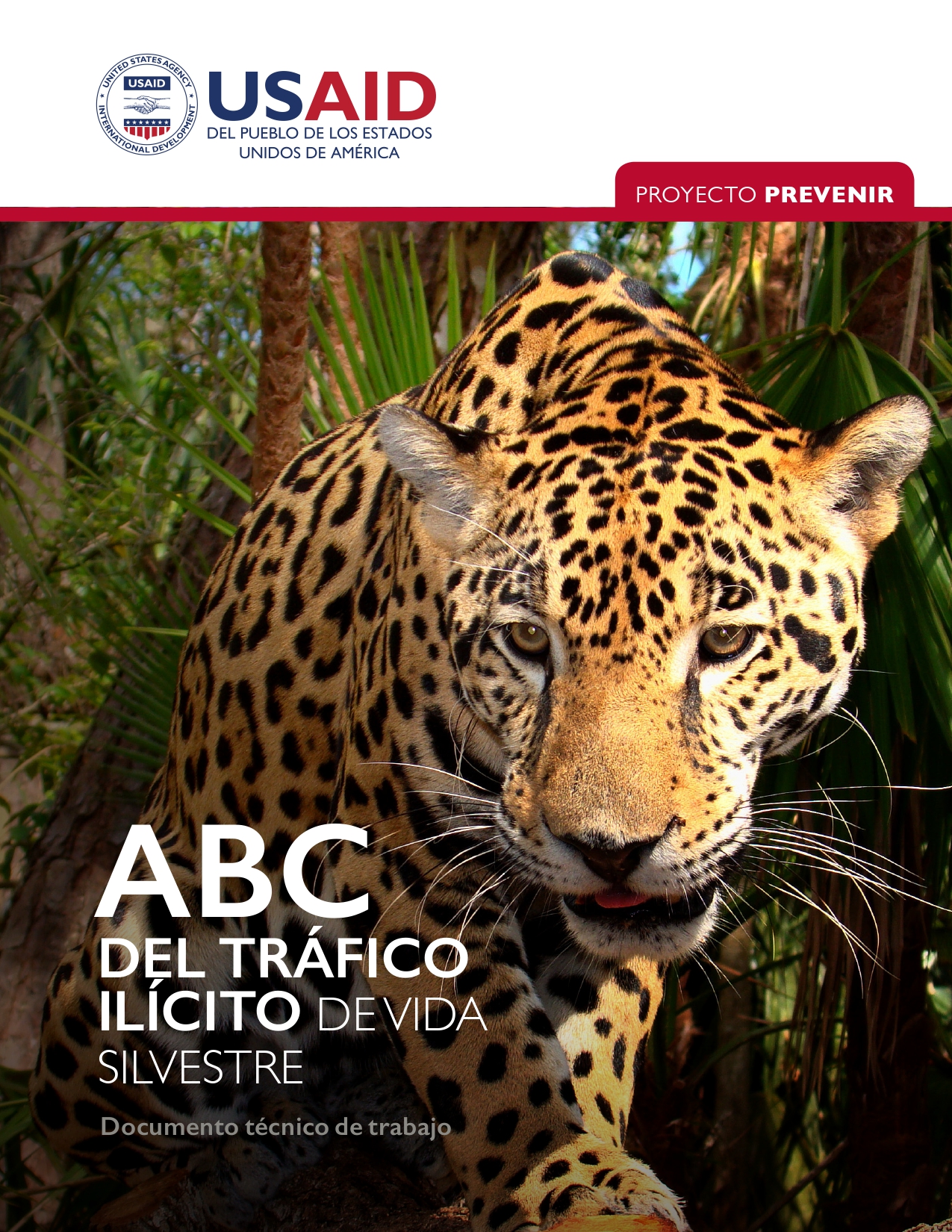 ABC del tráfico ilícito de vida silvestre