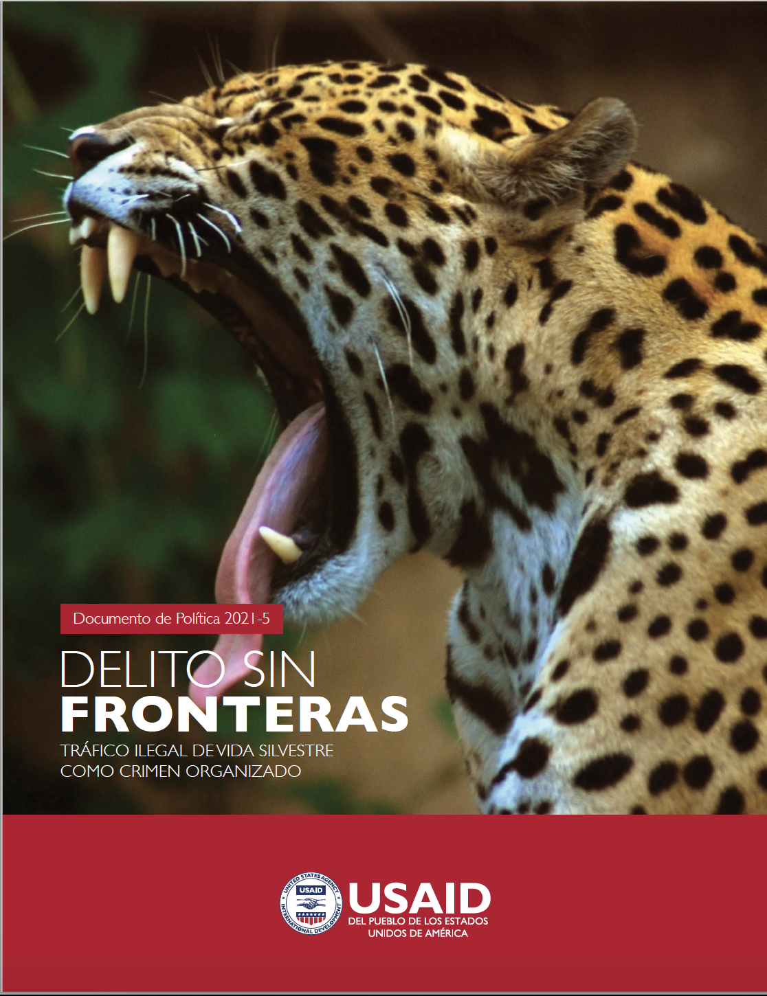 Delito sin fronteras: Tráfico ilegal de vida silvestre como crimen organizado