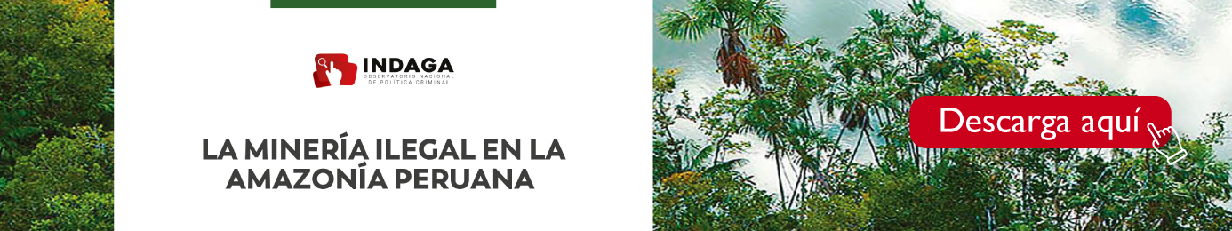 Descarga. La minería ilegal en la amazonía peruana