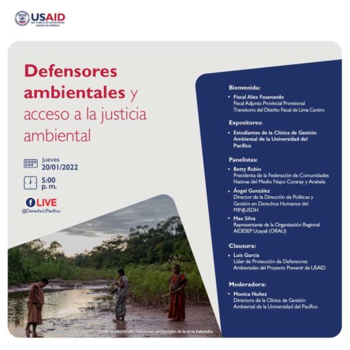 Defensores ambientales y acceso a la justicia ambiental
