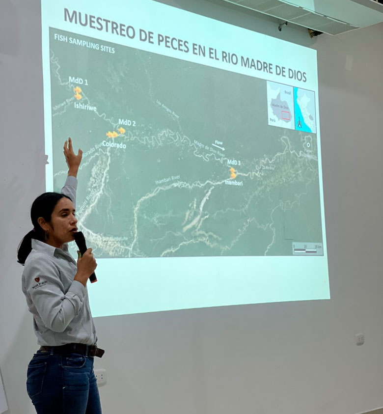 Minería Artesanal y de Pequeña Escala (MAPE)
