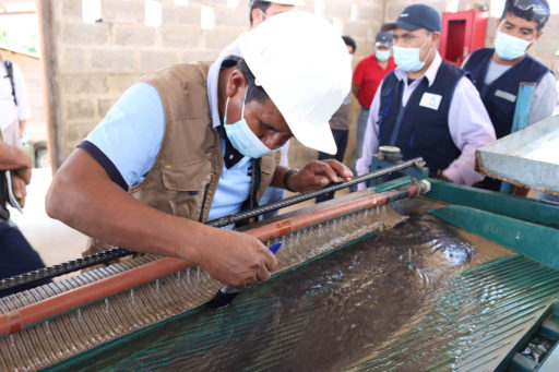 Infografía: Salvaguardas para una minería artesanal y de pequeña escala sostenible en la Amazonía