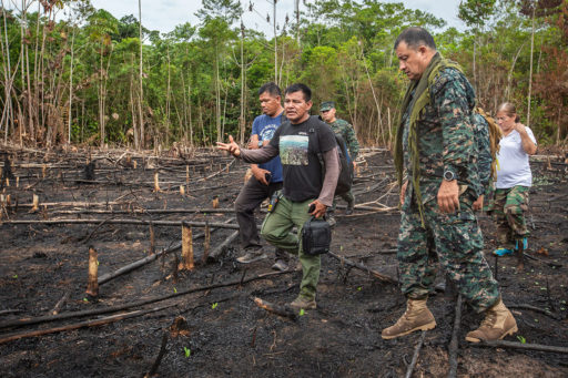 ¿Por qué necesitamos un marco nacional de lucha contra los delitos ambientales?