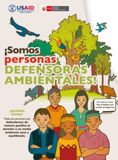 Infografía – Defensores Ambientales