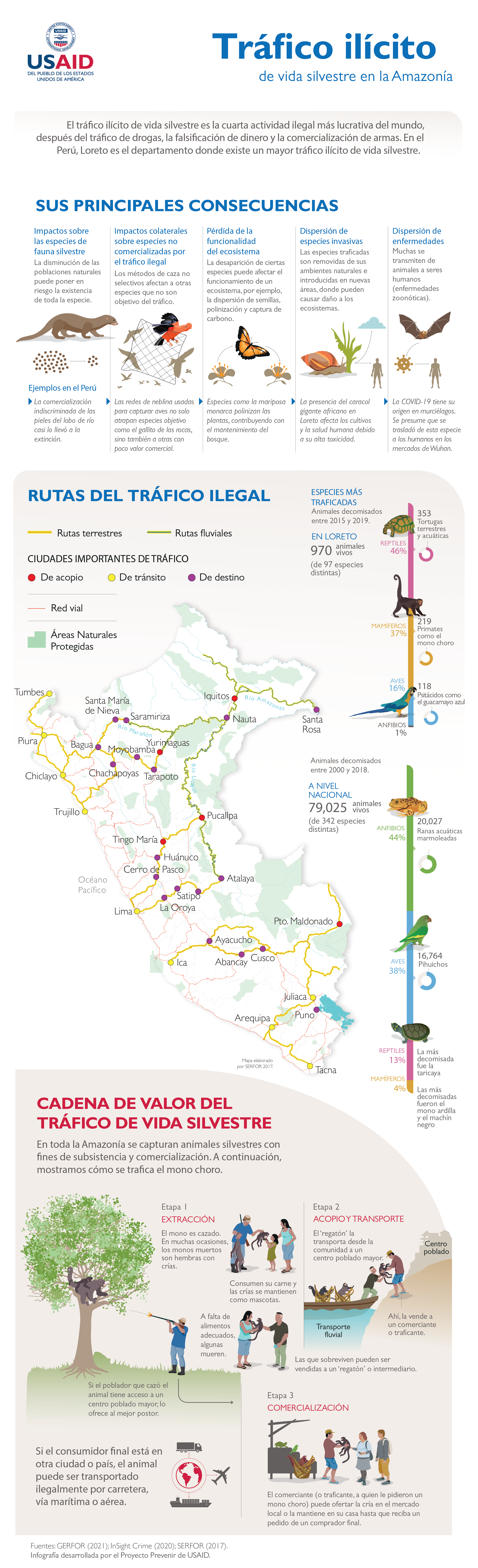 infografía "Tráfico ilícito de vida silvestre en la Amazonía"