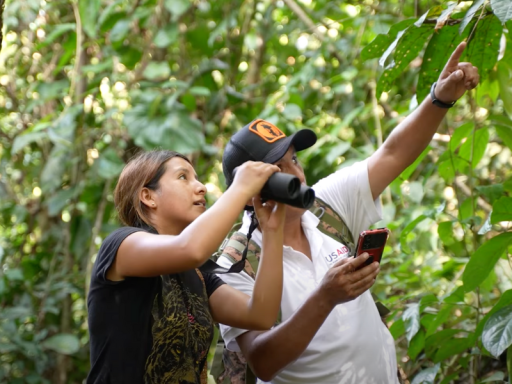 Conectividad ecológica para fortalecer estrategias de gestión territorial en Madre de Dios
