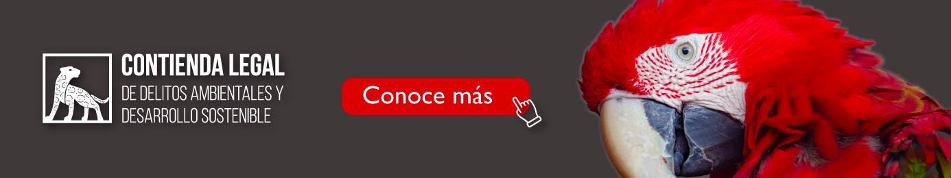 Primera Contienda Legal especializada en delitos ambientales y desarrollo sostenible en la Amazonía