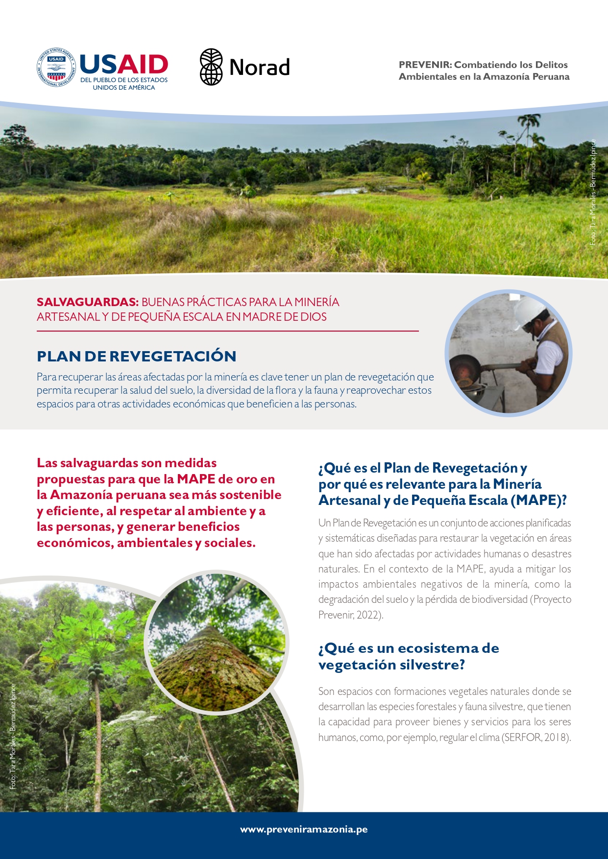Hoja informativa – Plan de Revegetación