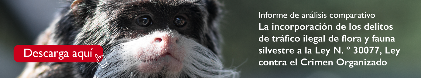 Descarga Informe tráfico de especies como crimen organizado
