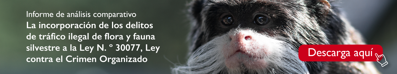 Descarga el informe Incorporación de los delitos de tráfico ilegal de flora y fauna en la Ley contra el Crimen Organizado