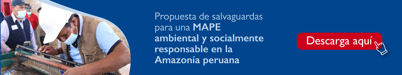 Propuesta de salvaguardas para una MAPE ambiental y socialmente responsable en la Amazonía peruana