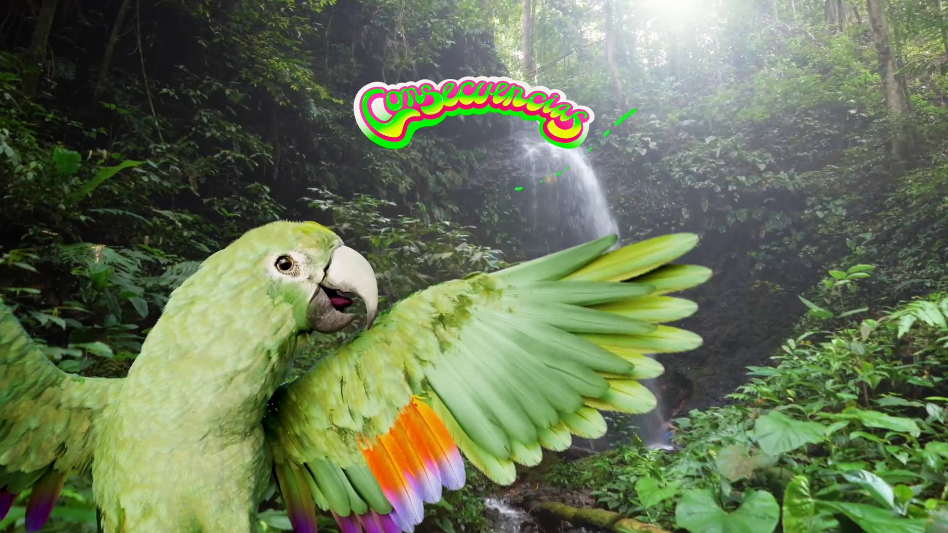 Vuelve “Consecuencias”, la iniciativa para informar y sensibilizar sobre los delitos ambientales en la Amazonía peruana