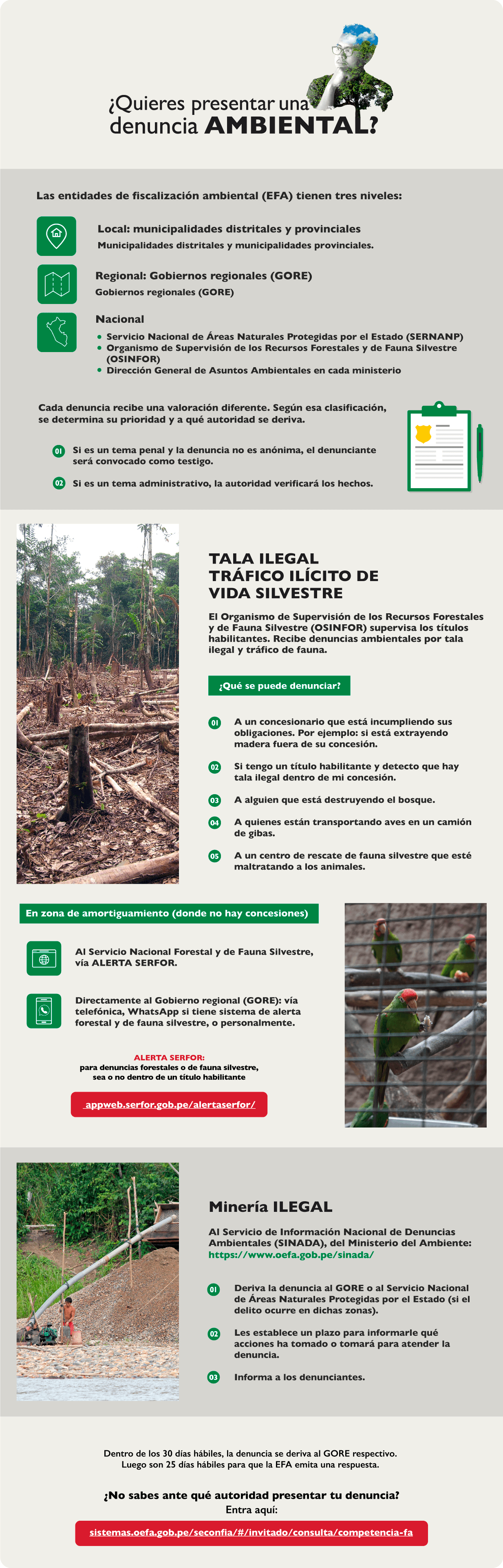 ¿Cómo denunciar un delito ambiental?