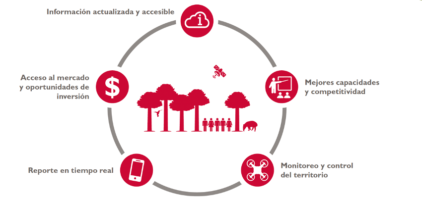 Modelo de gestión forestal mejorada