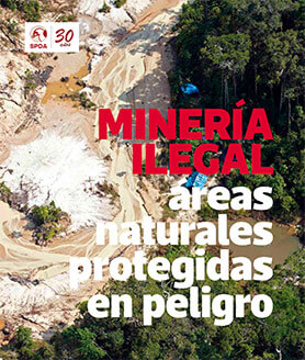 Minería ilegal: áreas naturales protegidas en peligro