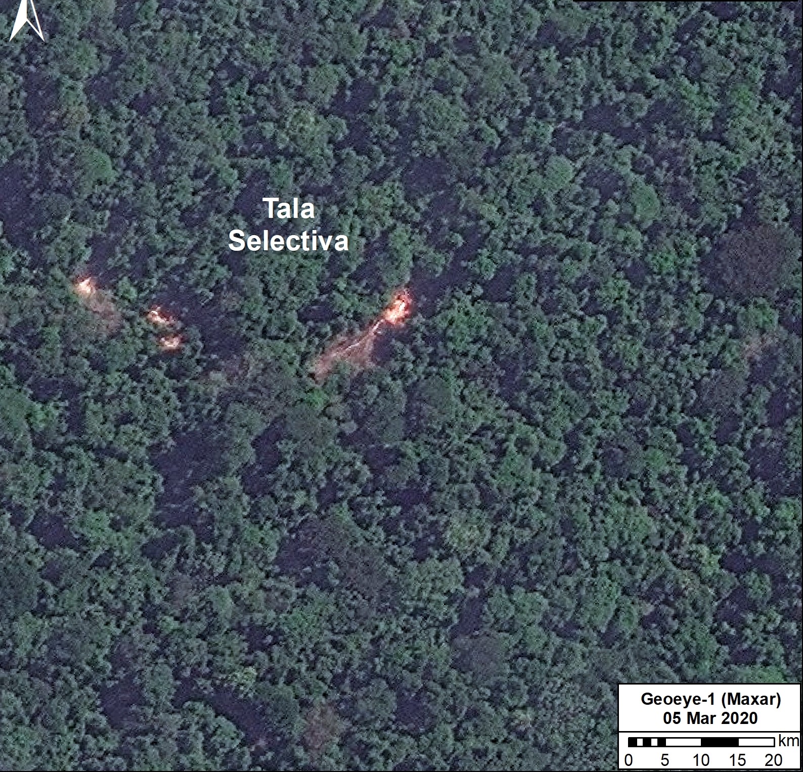 Deforestación en la Amazonía