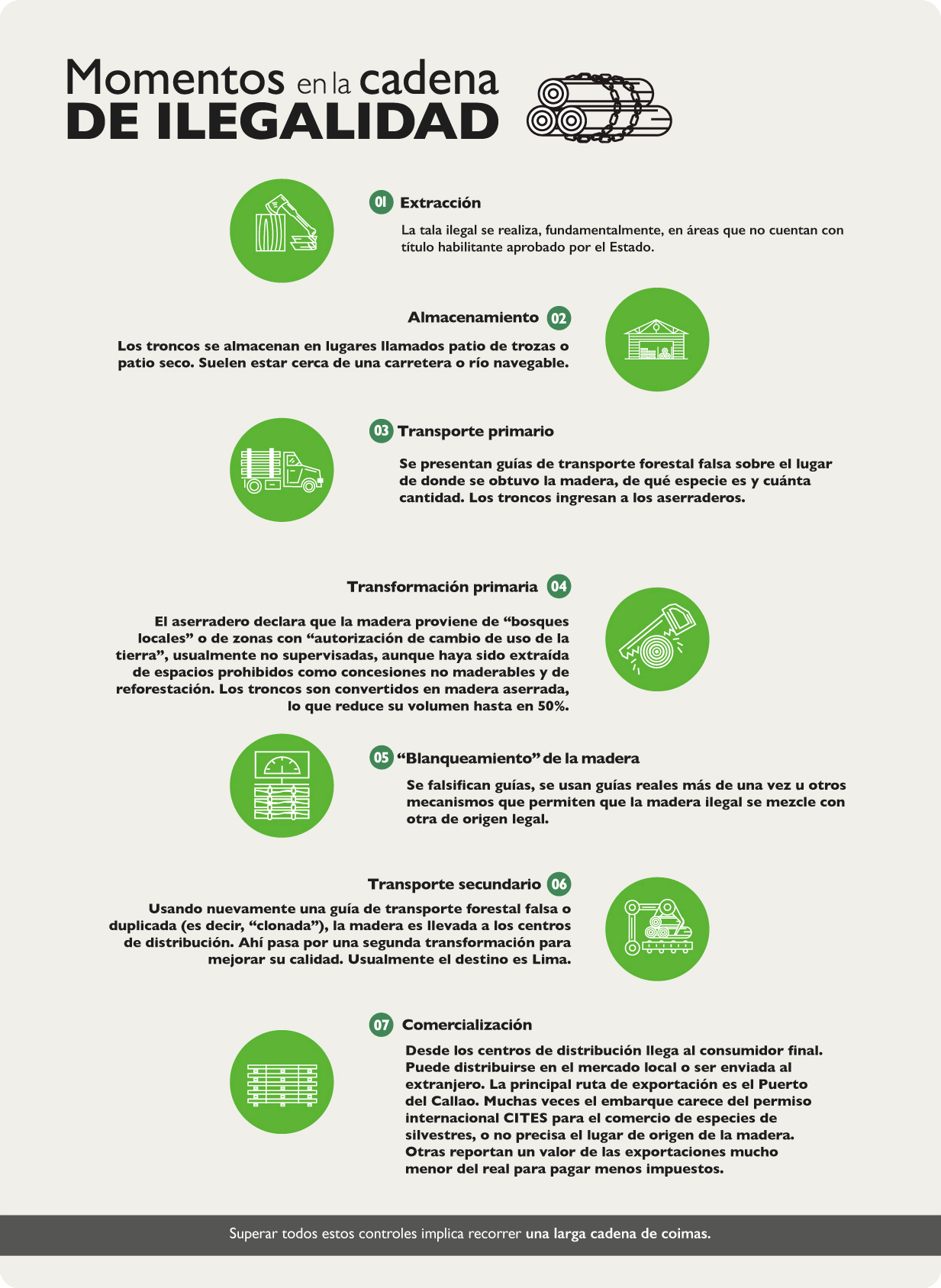Momentos en la cadena de ilegalidad - Tala y tráfico de madera