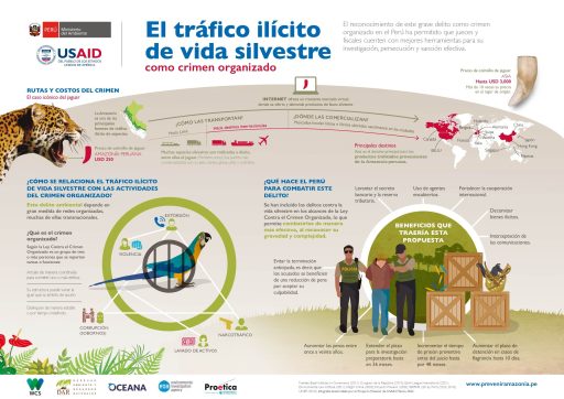 Infografía: Tráfico ilícito de vida silvestre como crimen organizado