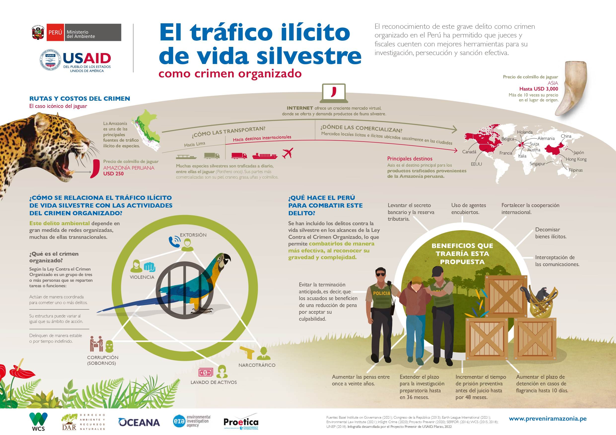 Infografía: Tráfico ilícito de vida silvestre como crimen organizado